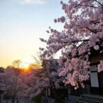 Atrações Escondidas em Kyoto