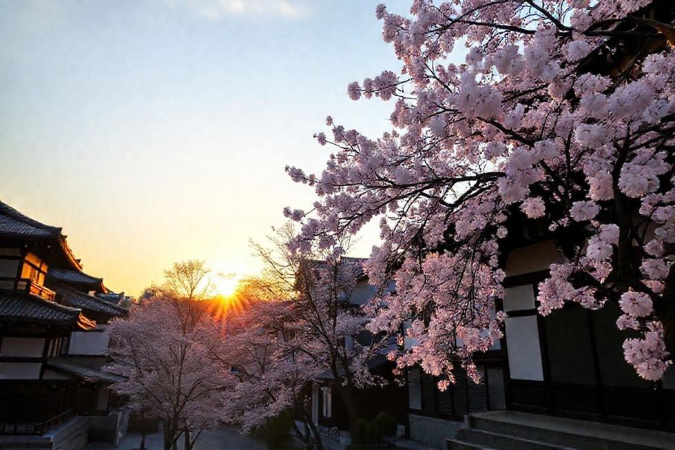 Vista de Kyoto com arquitetura tradicional e flores de cerejeira.