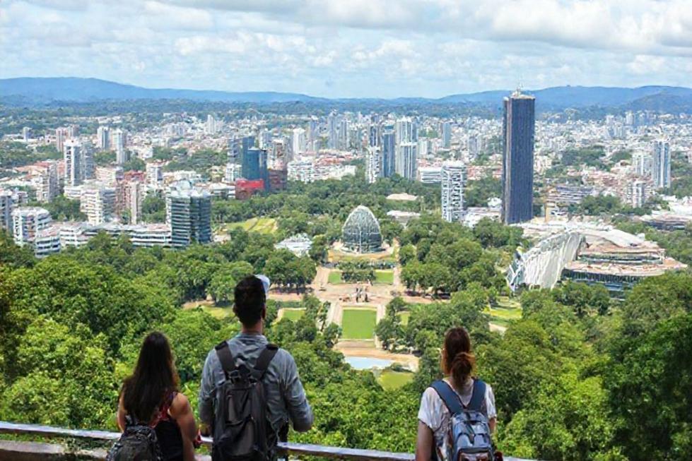Visitantes explorando Curitiba ao ar livre, rodeados pela natureza.